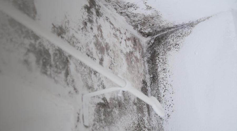 Why choose water damage restoration service for emergency flood repair in Fort Myers